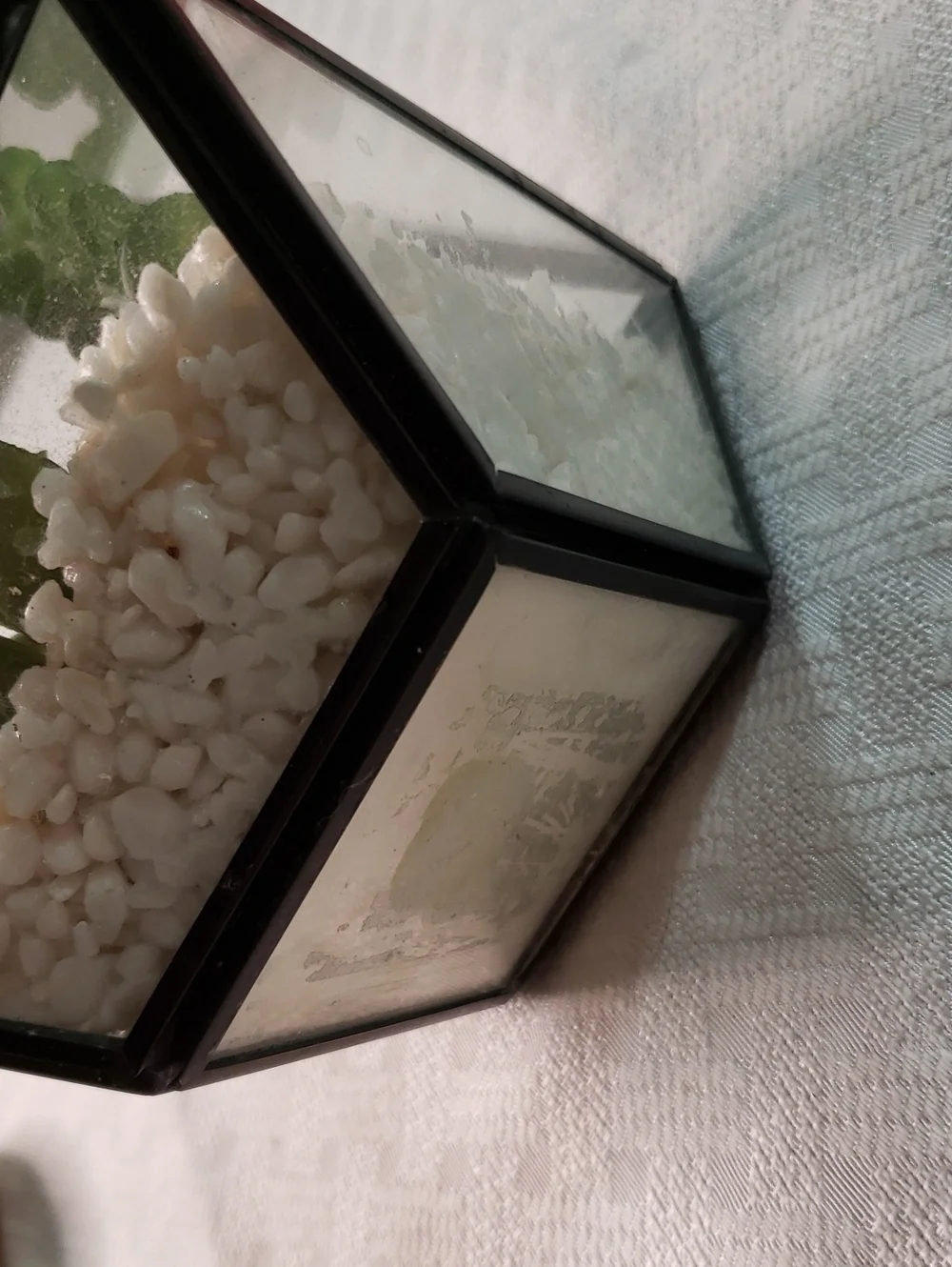 Source Unknown Black Pyramid Glass Terrarium with Green Faux Succulents